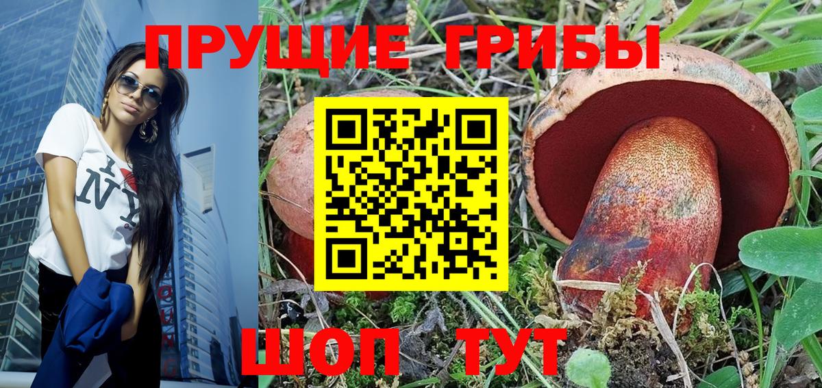 Кемерово  Галлюциногенные грибы Psilocybine cubensis  Вход с VPN 